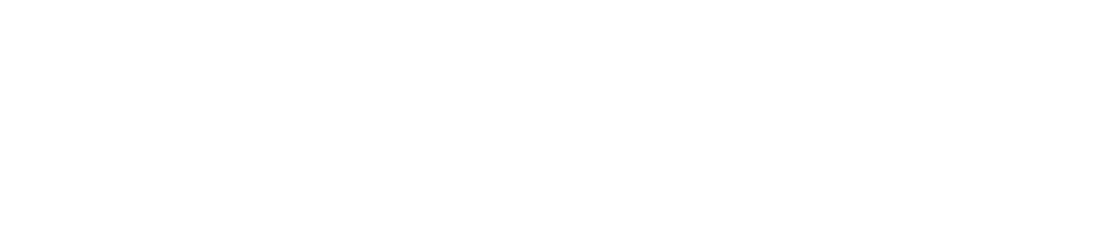 Spring Health-full logo-white